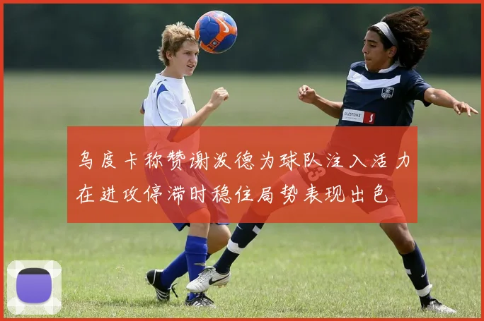 乌度卡称赞谢泼德为球队注入活力在进攻停滞时稳住局势表现出色