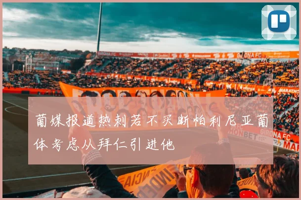 葡媒报道热刺若不买断帕利尼亚葡体考虑从拜仁引进他