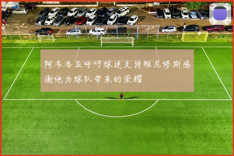 阿韦洛亚呼吁球迷支持维尼修斯感谢他为球队带来的荣耀