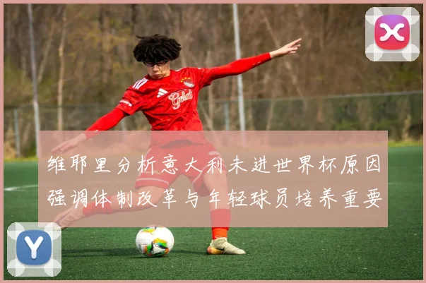 维耶里分析意大利未进世界杯原因强调体制改革与年轻球员培养重要性